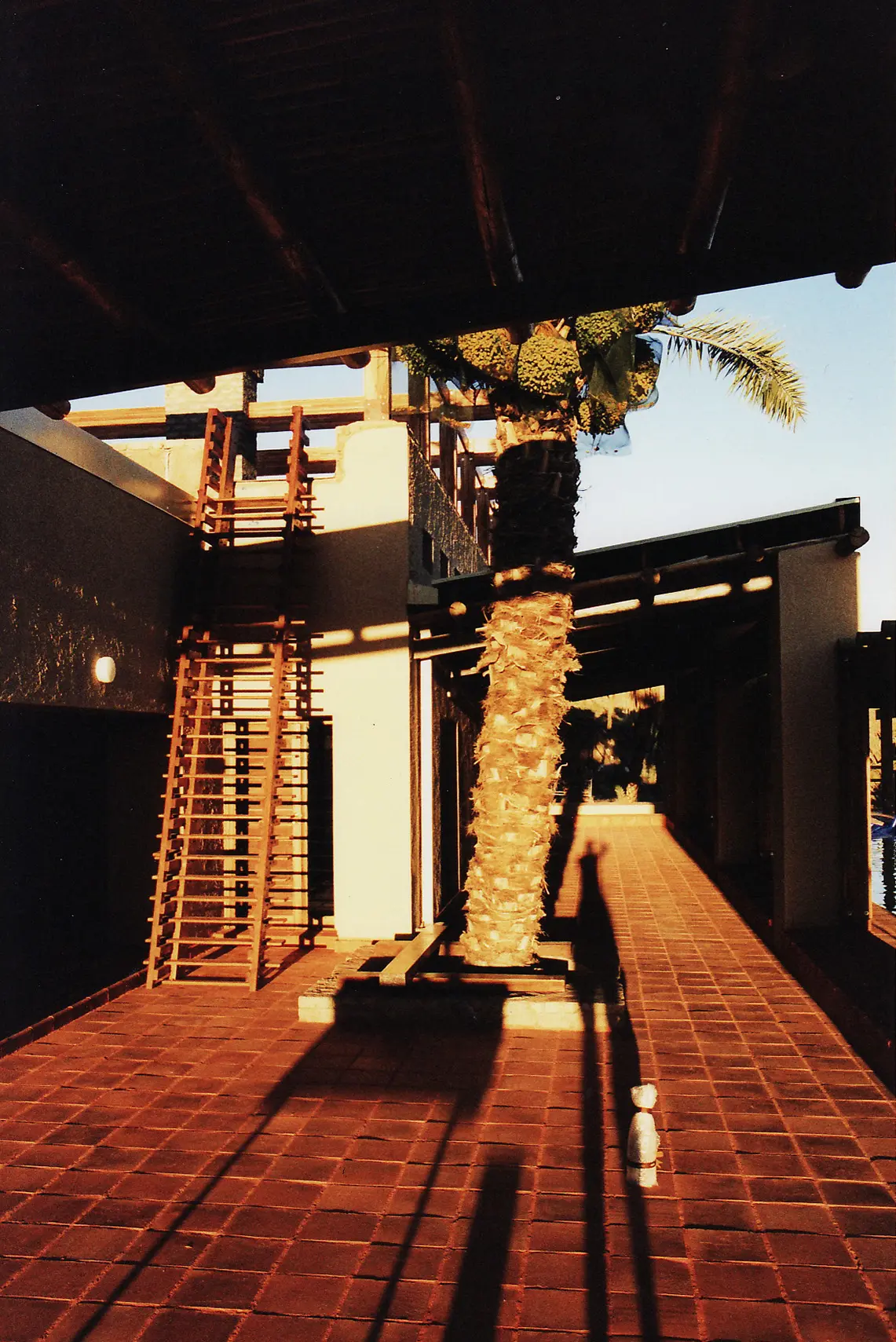 Casa S